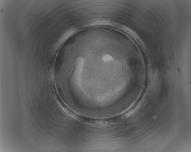 X0000078291241200611031223