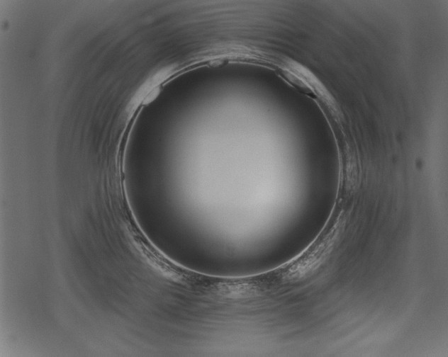 X0000078291242200611031223