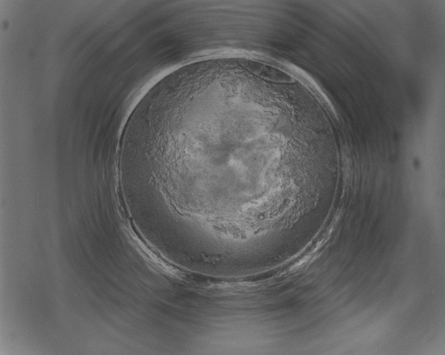 X0000078291244200611031223