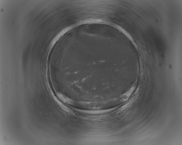 X0000078291245200611031224