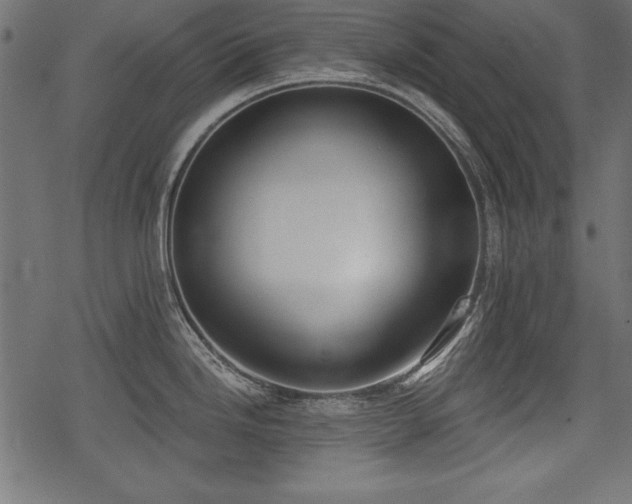 X0000078291246200611031224