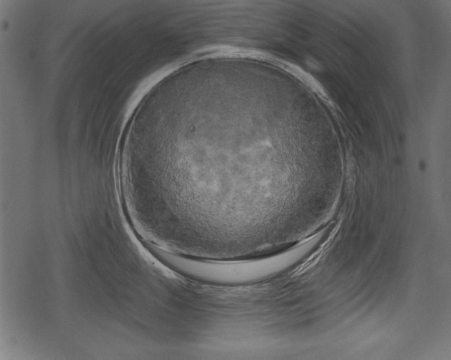 X0000078291247200611031224