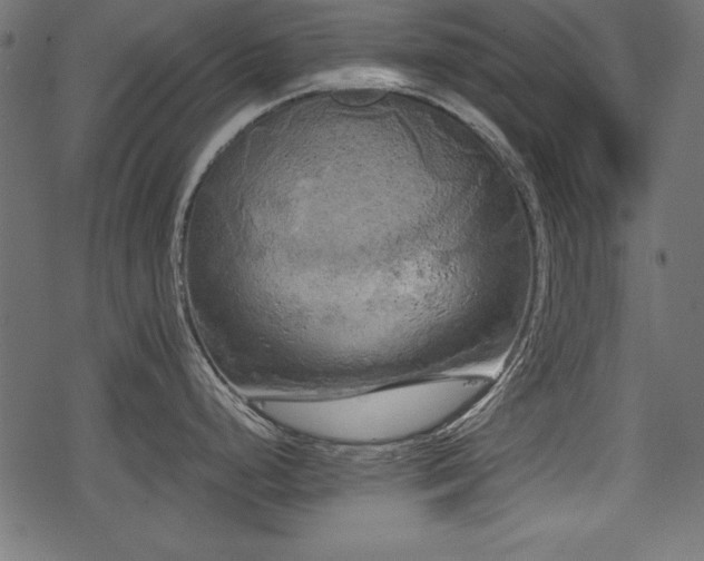 X0000078291248200611031224