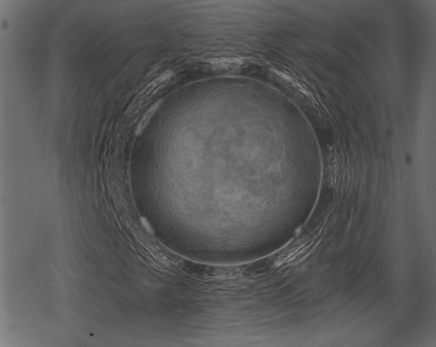 X0000078291249200611031223