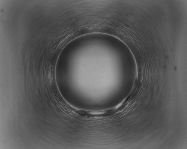 X0000078291250200611031223