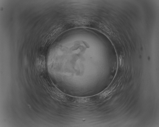 X0000078291251200611031223