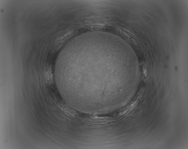 X0000078291252200611031223