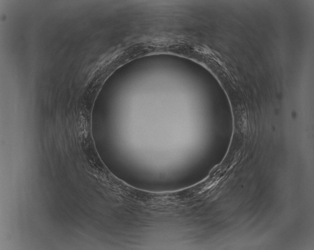 X0000078291253200611031223