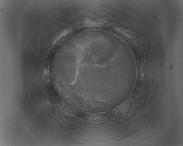 X0000078291254200611031223