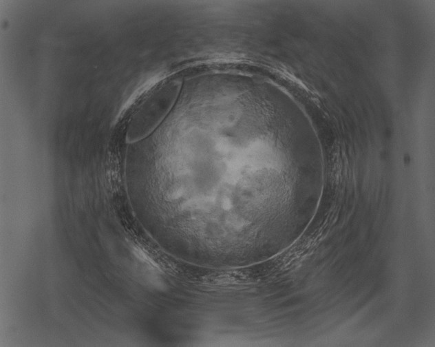 X0000078291255200611031223