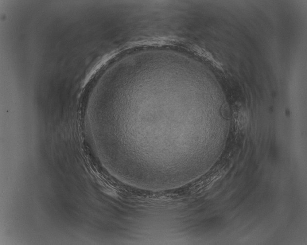 X0000078291256200611031223