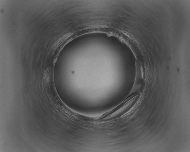 X0000078291257200611031223