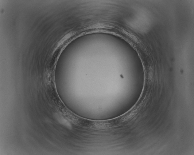 X0000078291258200611031223