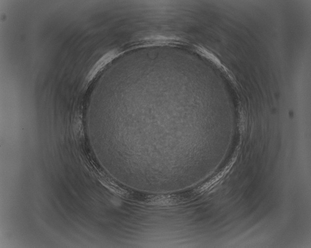 X0000078291259200611031223