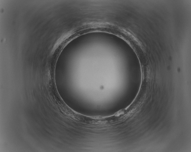 X0000078291261200611031223