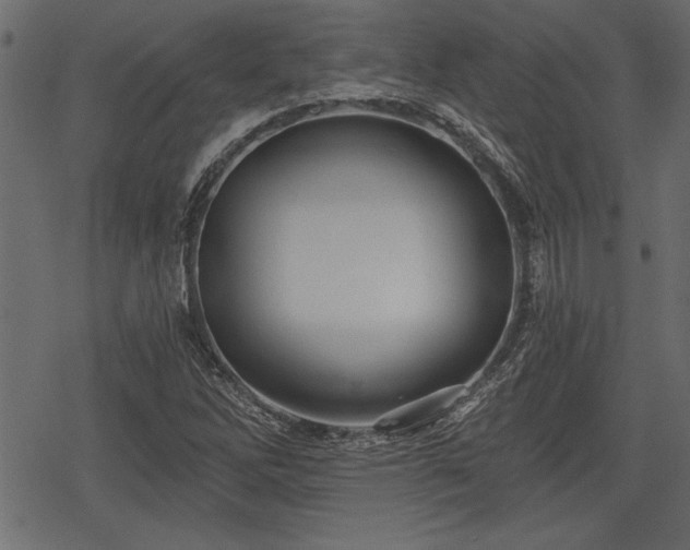 X0000078291262200611031223