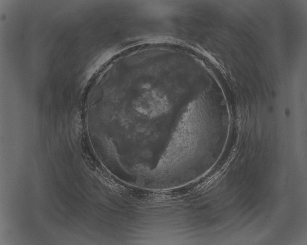 X0000078291263200611031223