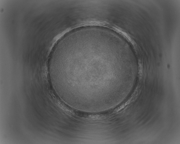 X0000078291264200611031223