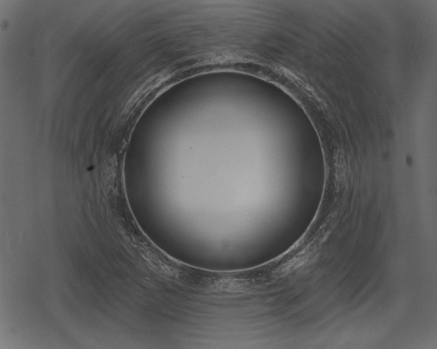 X0000078291265200611031223