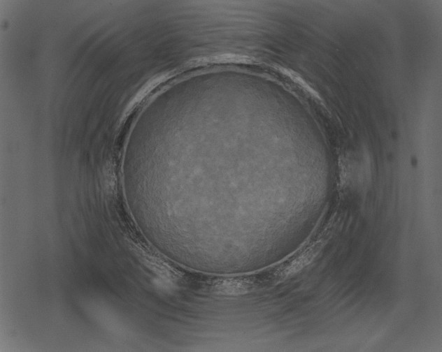 X0000078291266200611031223