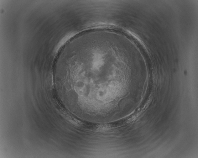 X0000078291267200611031222