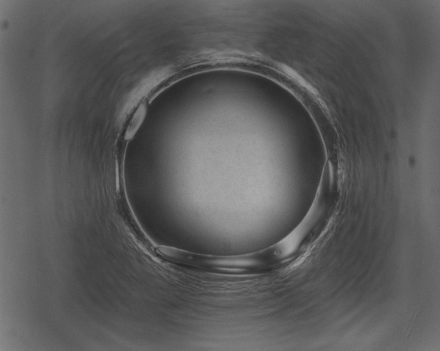 X0000078291269200611031222