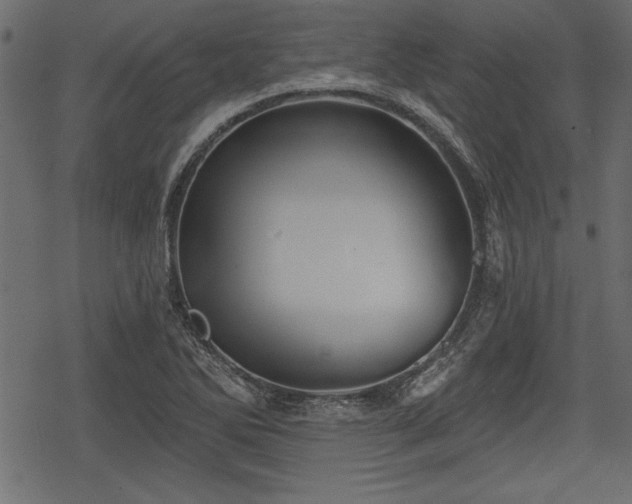 X0000078291270200611031222