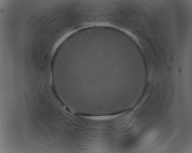 X0000078291271200611031222