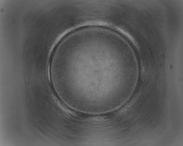 X0000078291272200611031222