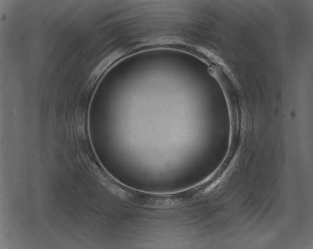 X0000078291273200611031222