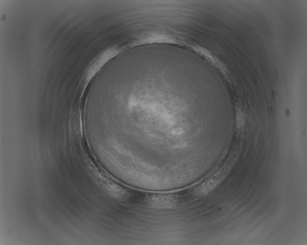 X0000078291274200611031222