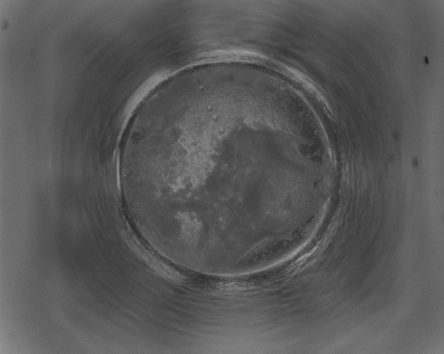 X0000078291275200611031222