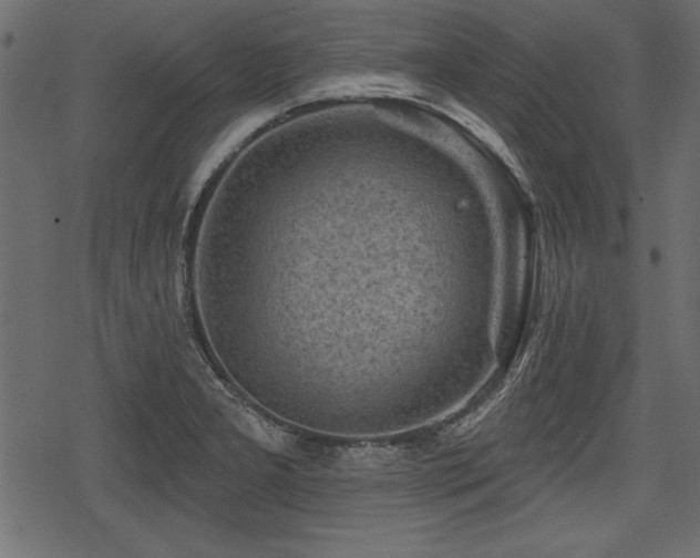 X0000078291277200611031222