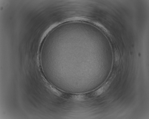 X0000078291278200611031222