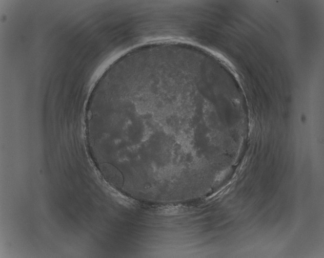 X0000078291279200611031222