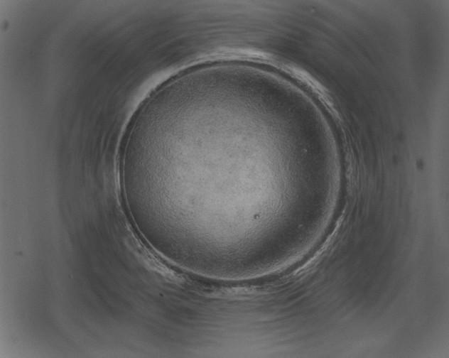 X0000078291280200611031222