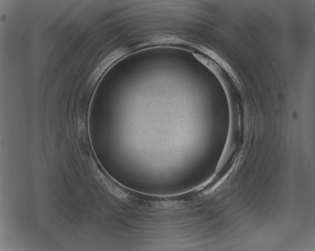 X0000078291281200611031222