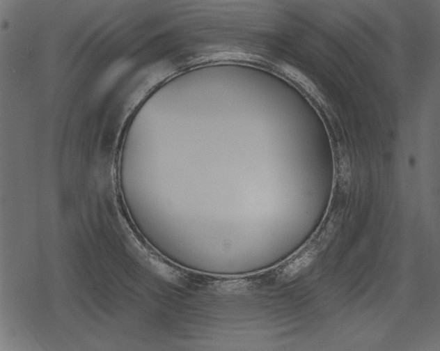 X0000078291282200611031222