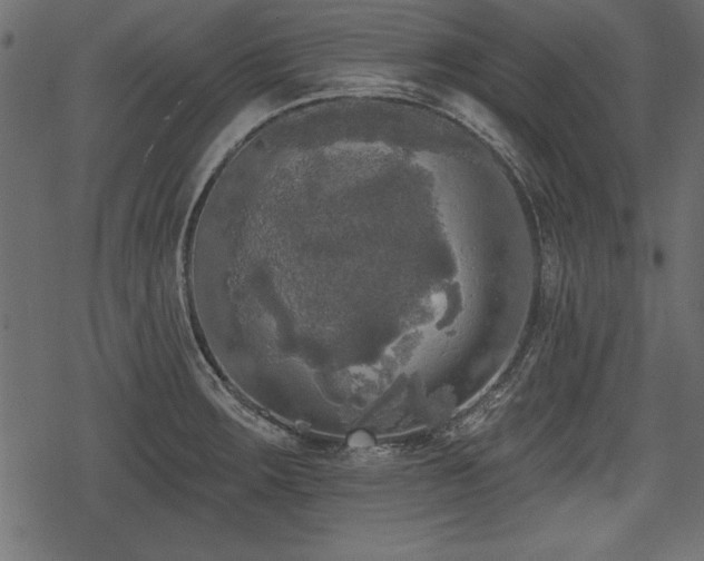 X0000078291283200611031222