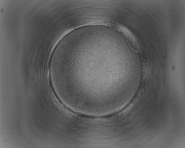 X0000078291284200611031222