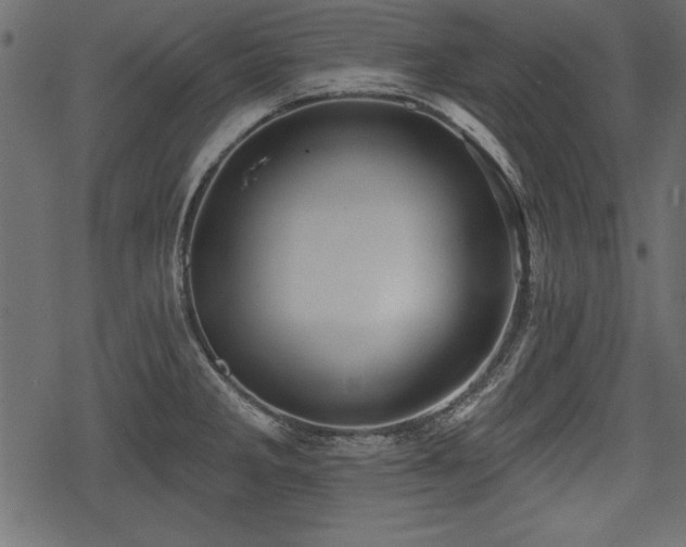 X0000078291285200611031222