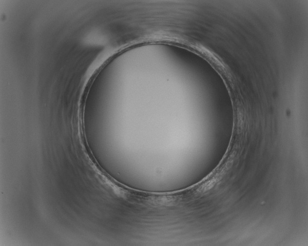 X0000078291286200611031222