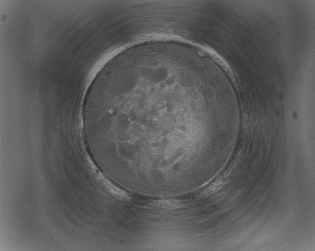 X0000078291287200611031222