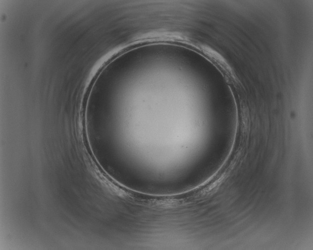 X0000078291288200611031222