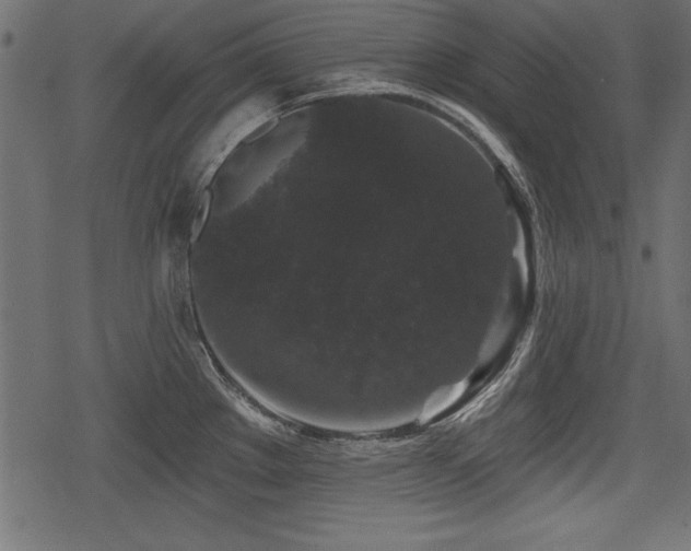 X0000078291289200611031222