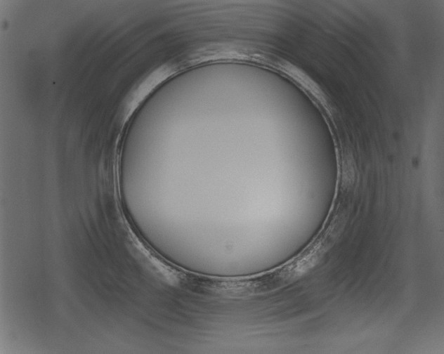 X0000078291290200611031222