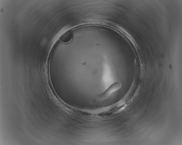 X0000078291291200611031222