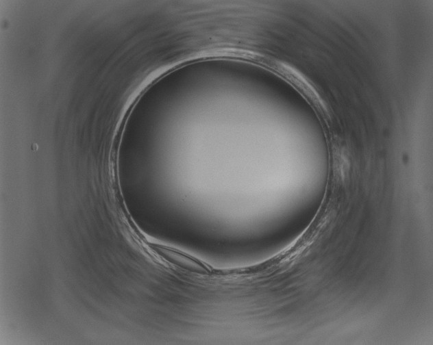 X0000078291292200611031222