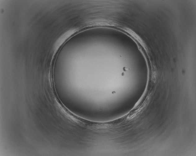 X0000078291293200611031222