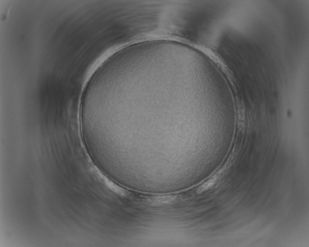 X0000078291294200611031222